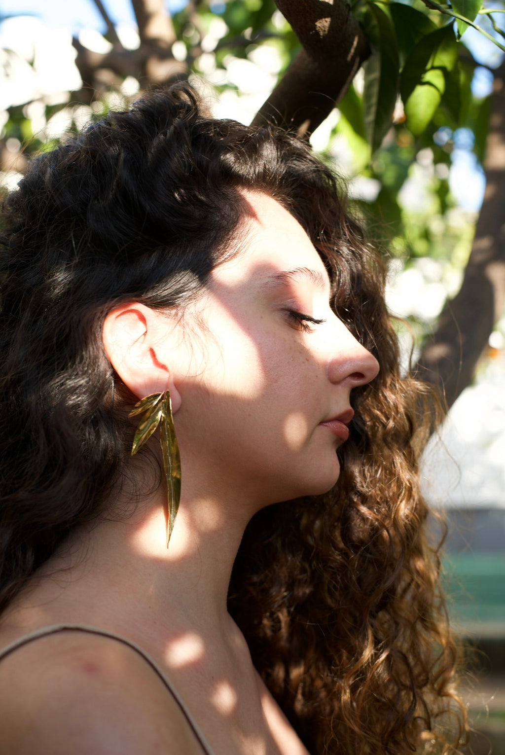 Triple Olive Leaf