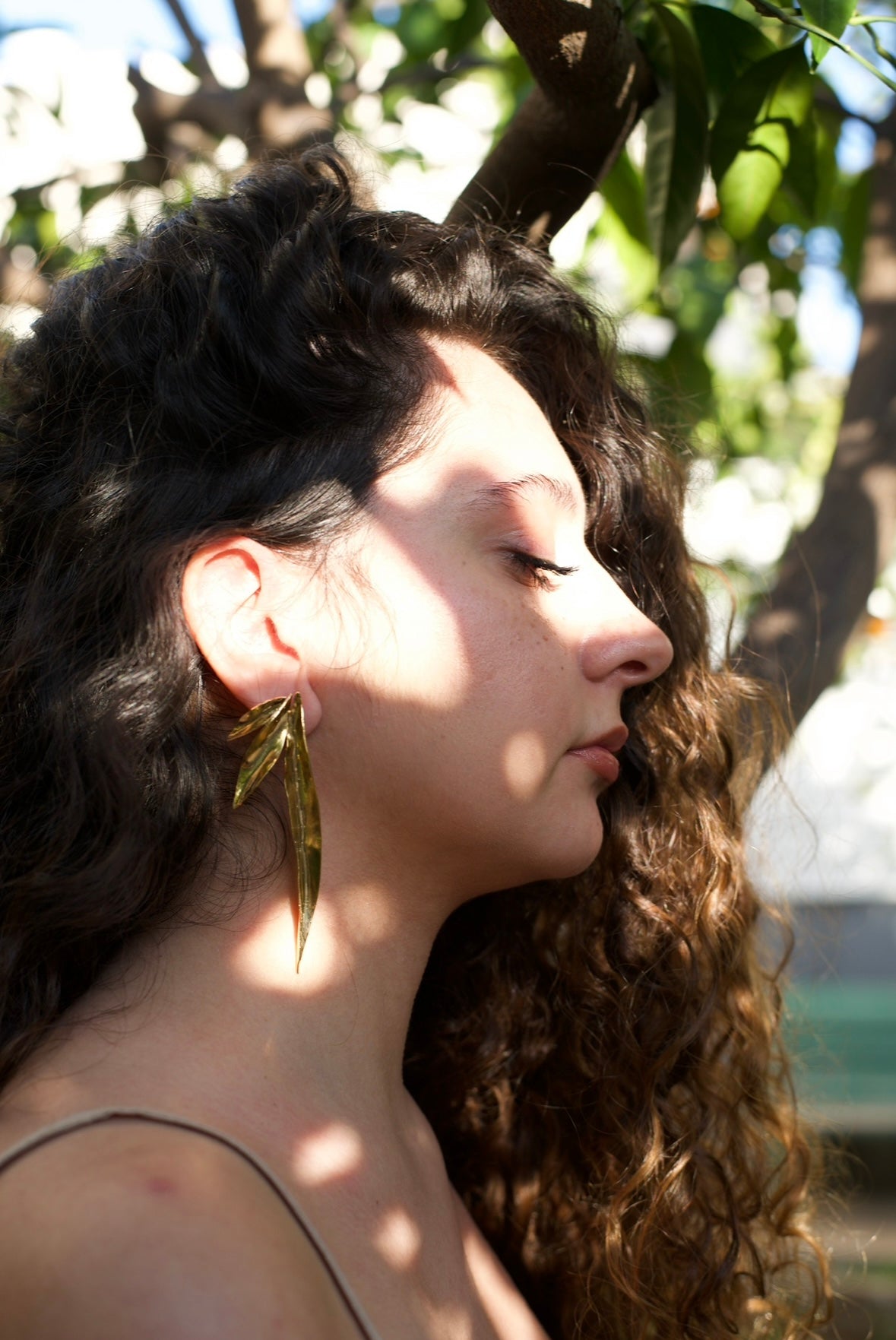 Triple Olive Leaf