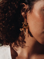 Sawsan (Iris) Leveas - أوراق سوسن